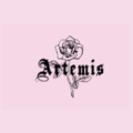 Artemis Accessories